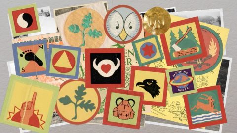 Collection of different Woodcraft Folk badges / awards